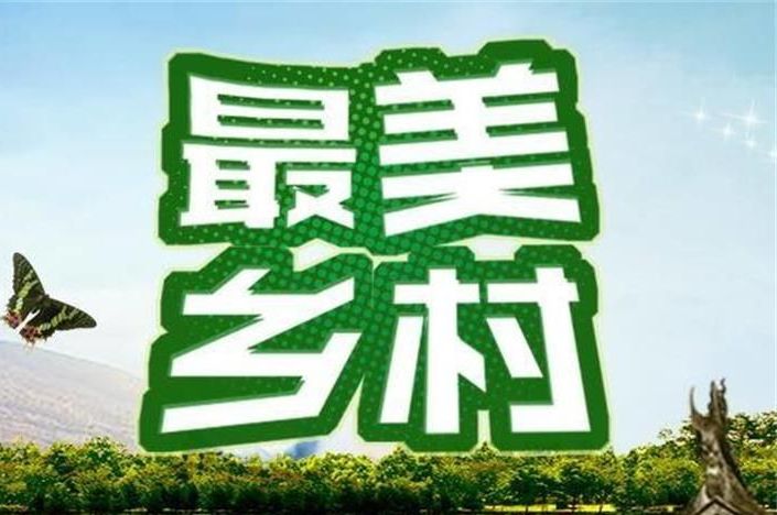【乡村软件服务】之八：宣传推广