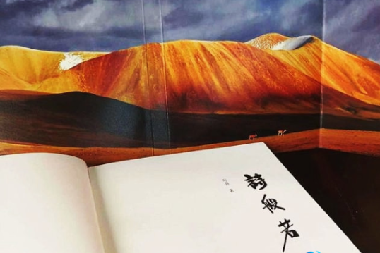 三位鲁奖得主对话熬吧引媒体广泛关注，叶舟新书《诗般若》受热捧