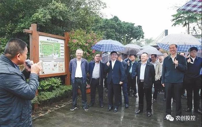 海口石山镇又火了