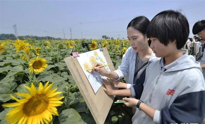 孙麟：乡村振兴需要新视野、新模式、新思维